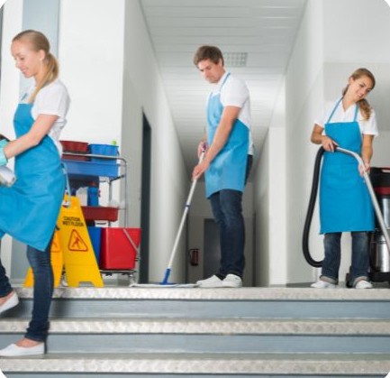 Butterfly Cleaning - 5