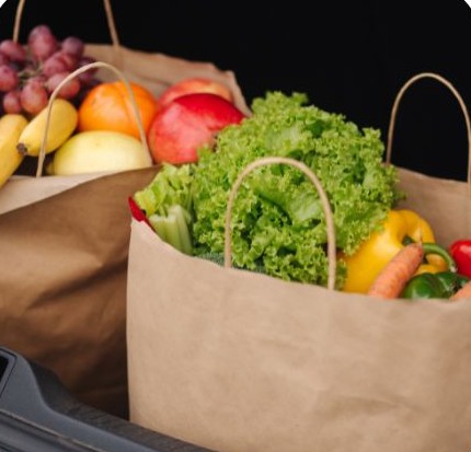 Butterfly Cleaning - 6